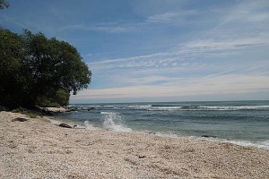 Hunting Island State Park 