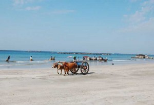 Ngwesaung Beach