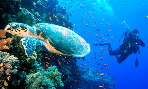 Sipadan Island malaysia