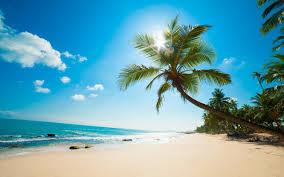Coconut Beach destination