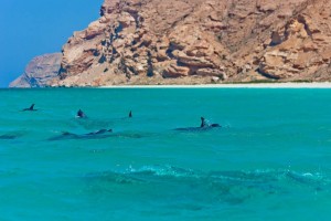 Socotra Beach