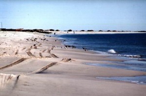 Nouakchott Beach