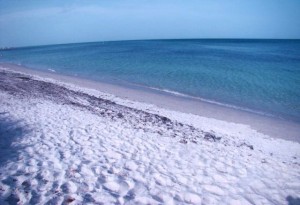 Silver Sands Beach