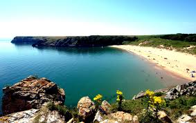 Barafundle Bay beach