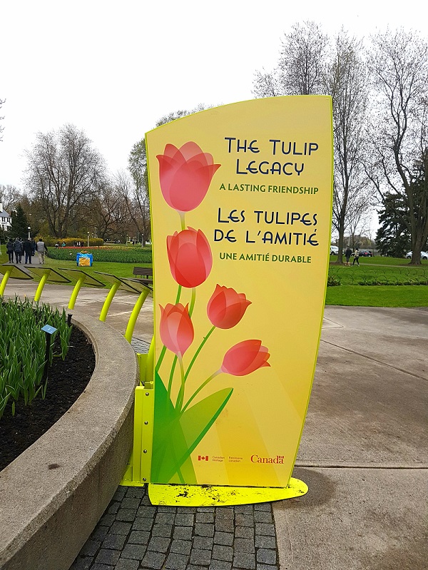 Ottawa Tulip Festival 2019