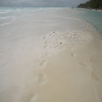 Caladesi Island beach