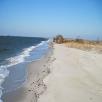 Hunting Island State Park