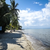 Livingston beach