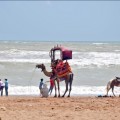 sandspit beach karachi