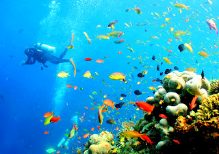 Sipadan Island Malaysia- Divers Destination