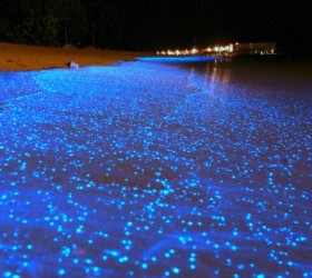 Glowing beaches across the World