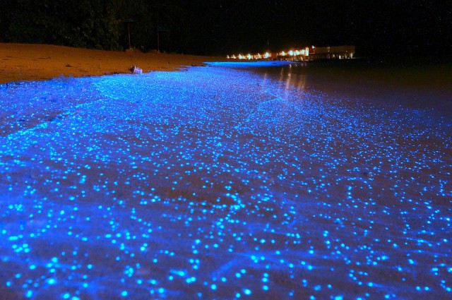 Glowing beaches across the World