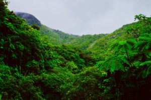 Most romantic places in Puerto Rico