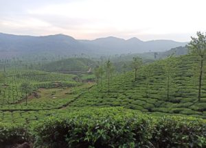 vagamon hills India