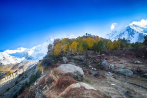 fairy meadows pakistan