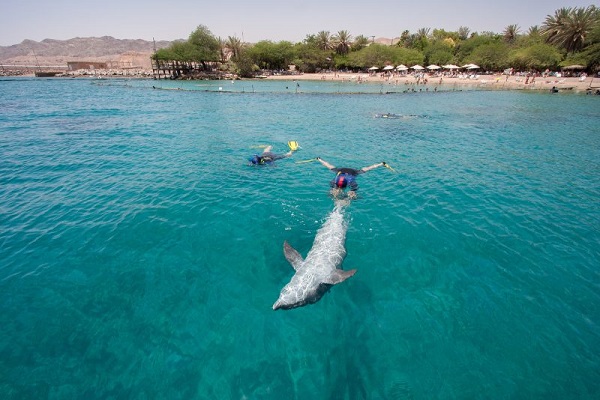 dolphin reef beach