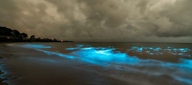 5 Most Strange Ocean and Sea Phenomena