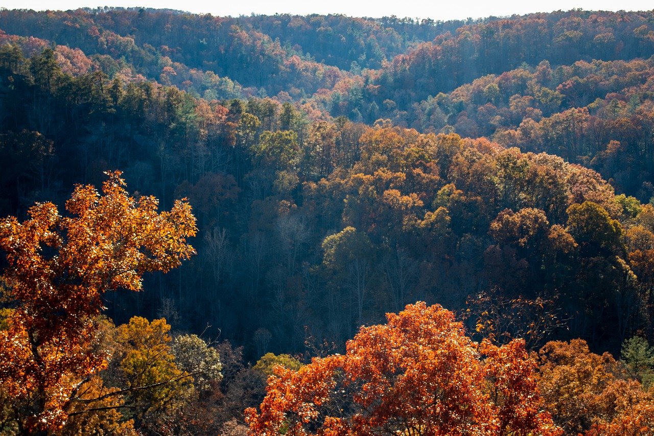 Top Attractions in Gatlinburg and Pigeon Forge for First Time Visitors