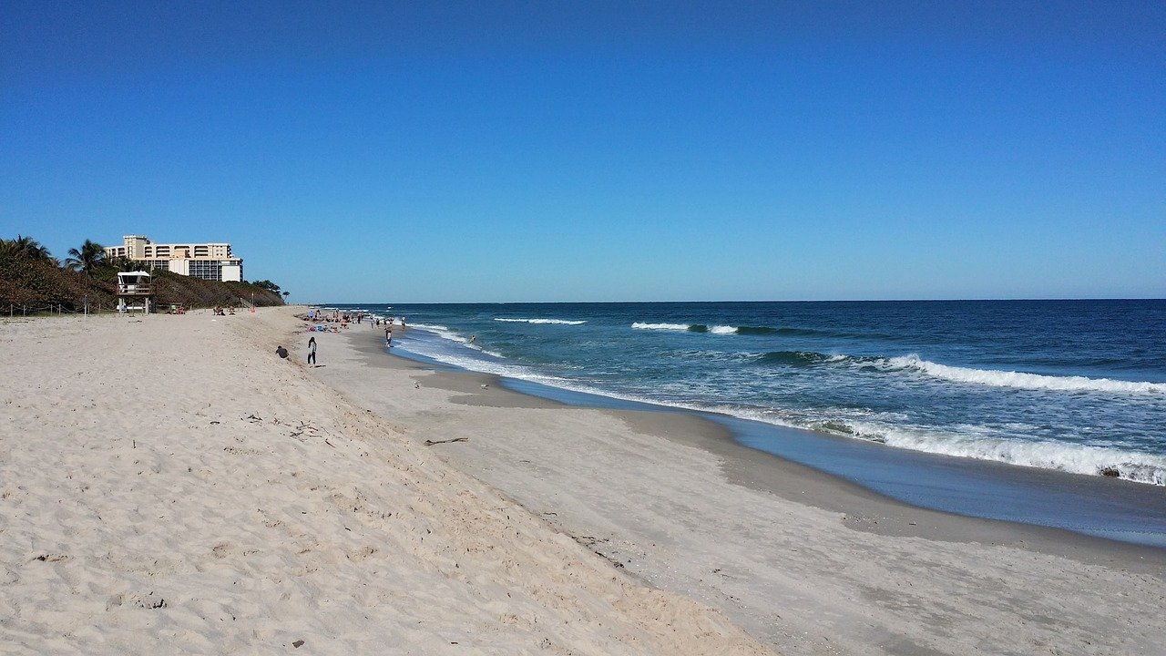 beaches to find fossil shark teeth