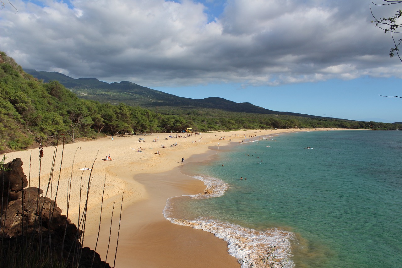 Top 5 Beaches in Maui, Hawaii