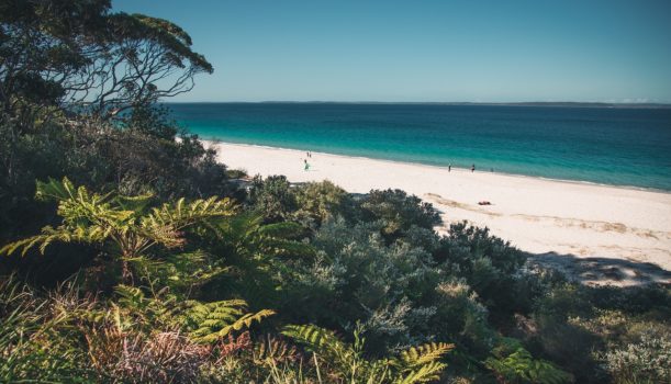 beaches to explore in Jervis Bay