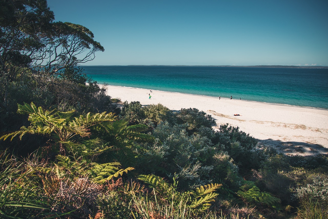 8 Beautiful Beaches To Explore In Jervis Bay, Australia
