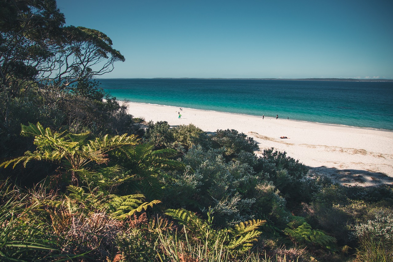 beaches to explore in Jervis Bay