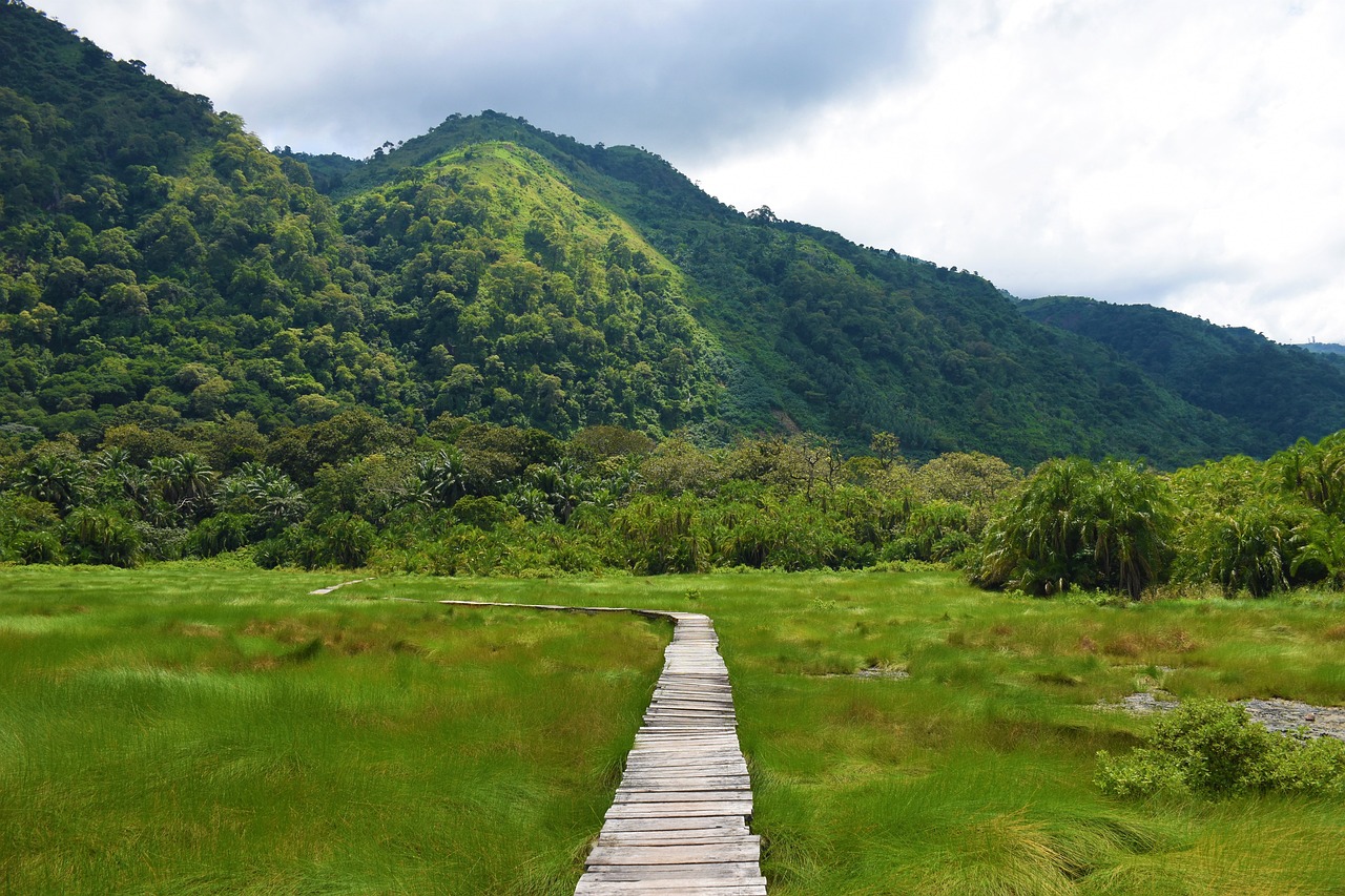 Wildlife Encounters: Safari Tips For Your Ugandan Family Adventure