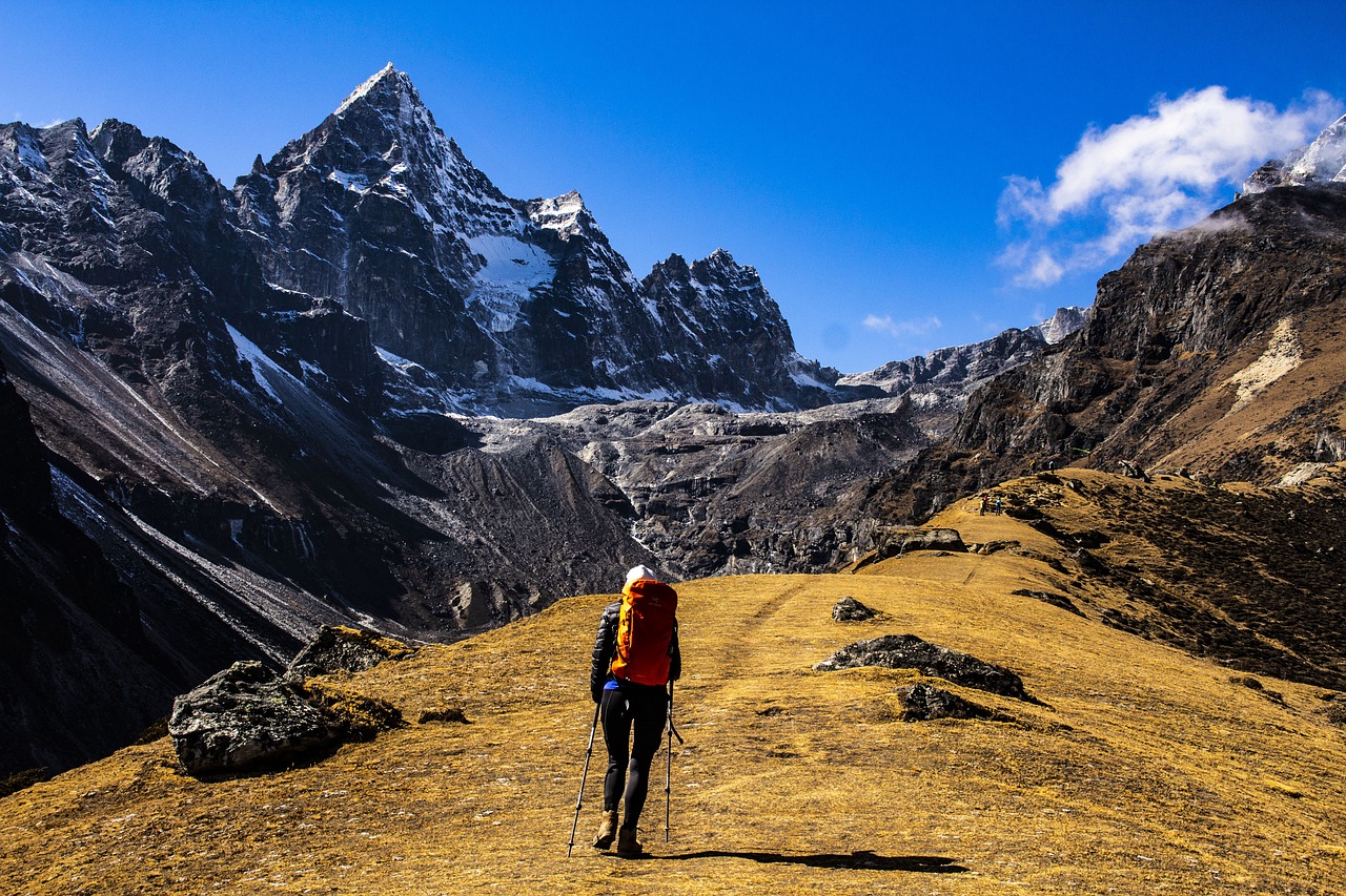 trek to Himalayas